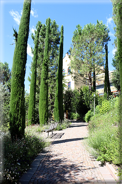 foto Giardini Trauttmansdorff - Giardini del Sole